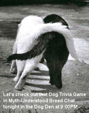 Cats..Dog Trivia Game