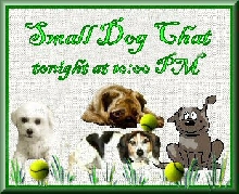 SDC tonight....many dogs