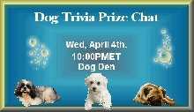 Trivia Dog Prize chat