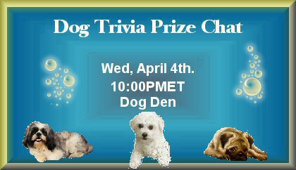 Trivia Dog Prize chat