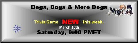 Dogs...dogs chat