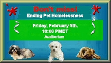 Ending  Pet Homelessness