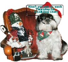 Small Dog Chat