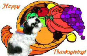 Happy Thanksgiving...Katie