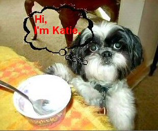Hi Katie