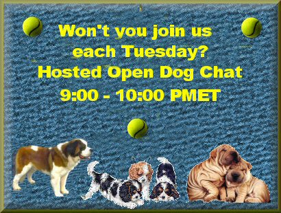 Open Dog Chat...Tues..no date