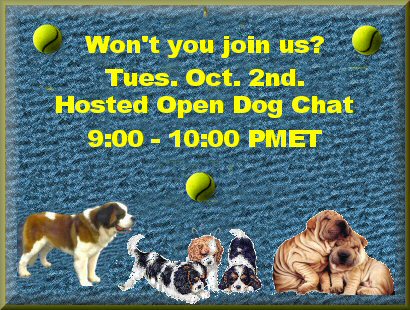 Hosted Open Dog Chat Tuesday