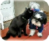 Katie and Luna