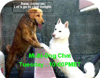 Multi Dog Chat two