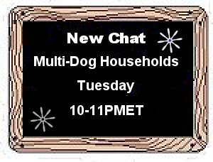 Multi-Dog household