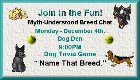 Dec. 4th special Chat