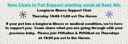New Chat two