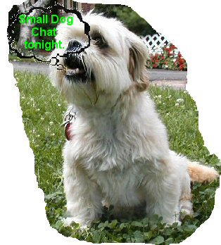 SDC chat tonight...Sammy