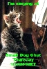 SDC Kitten singing