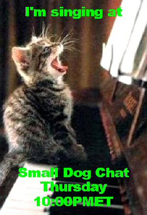 SDC Kitten singing