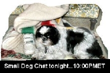 SDC tonight...Katie....black
