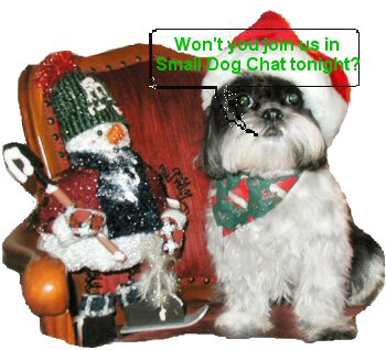 Santa Katie...SDC