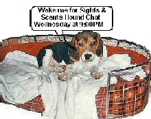 Sights and Scents Hound Chat