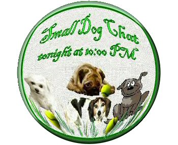 Small Dog Chat...circle