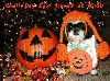 SDC Halloween