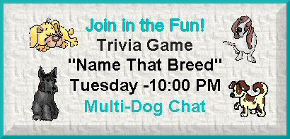 Trivia game button