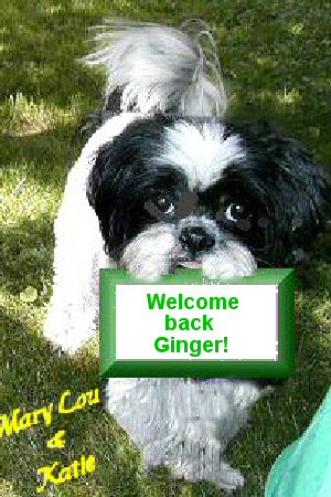 Welcome back, Ginger