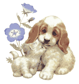 Welcome kitty and puppy