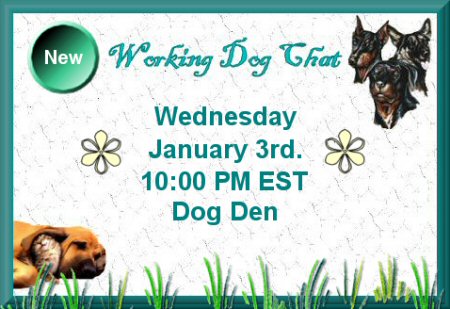 Working Dog Chat