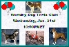Working Dog Trivia Chat