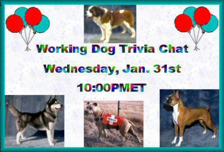 Working Dog Trivia Chat