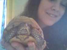 Meet Franklin