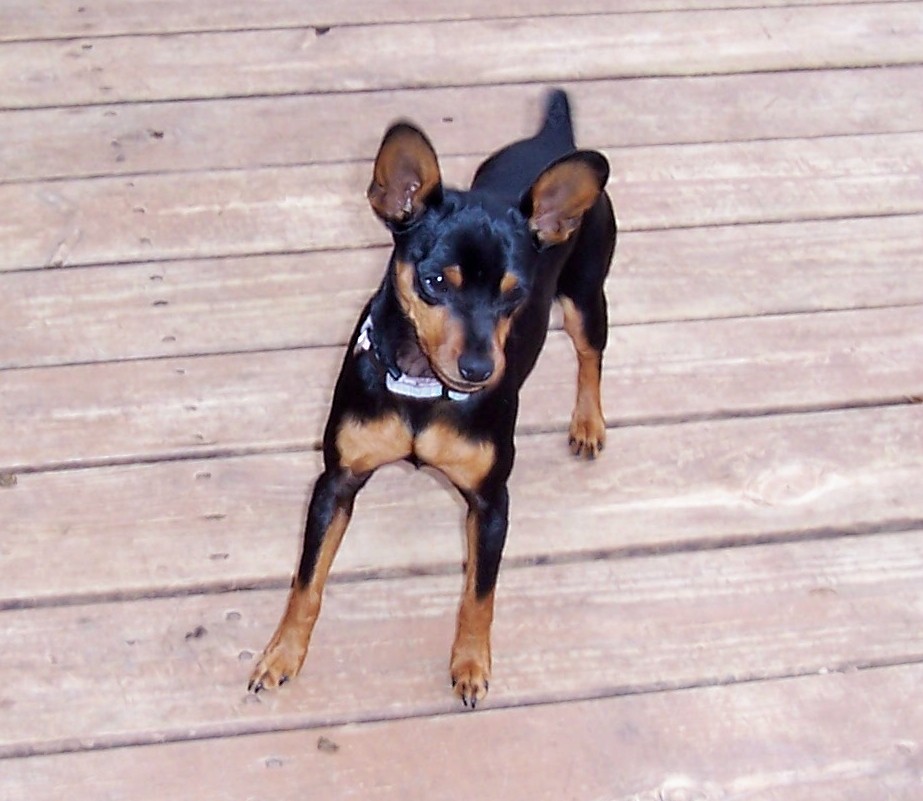 LOST - Nocona tX