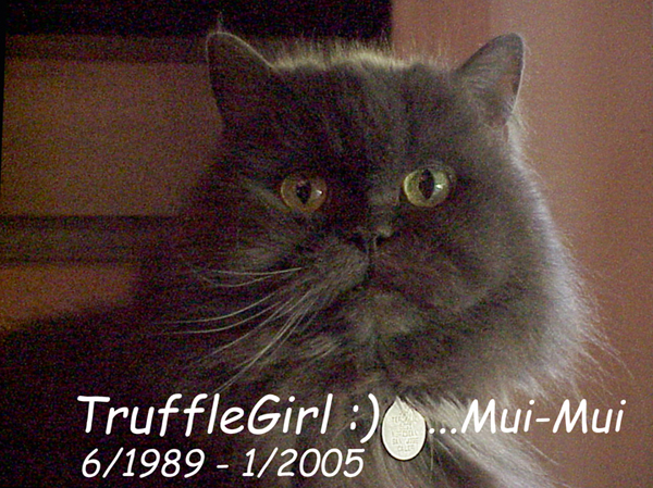 TruffleGirl - "Mui-Mui" 1989-2005