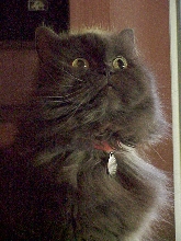 This is Trufflegirl at her best, it is how I would always remember her.