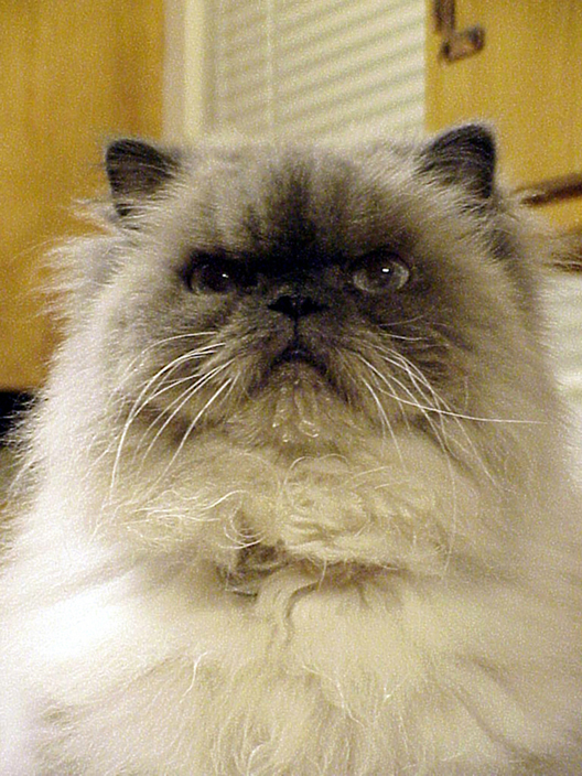 Noodle wetted face after drinking