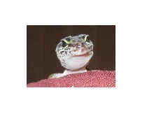 Here's looking at ya!!!