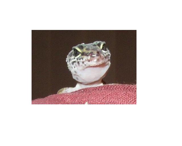 Here's looking at ya!!!