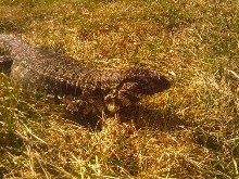 enjoying the weather