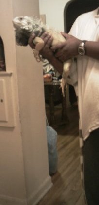 manny and me