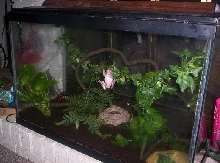 new WTF tank