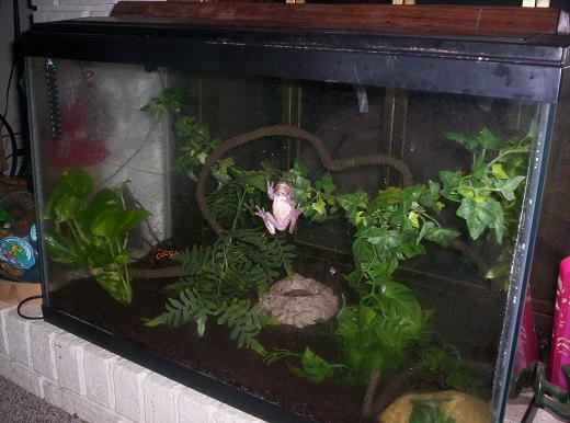 new WTF tank