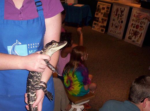 gator at nc museum