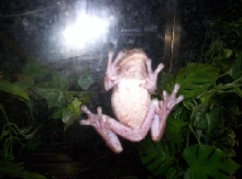 BOOGER!!!!!!