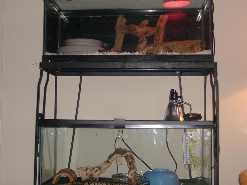bp cages