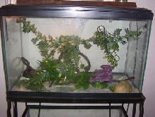 my old set up
