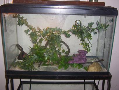 my old set up