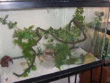 my new set up