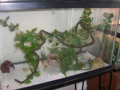 my new set up