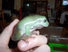my big boy!