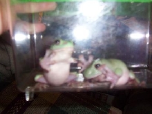 LET ME OUT!!!!!!!!!!!